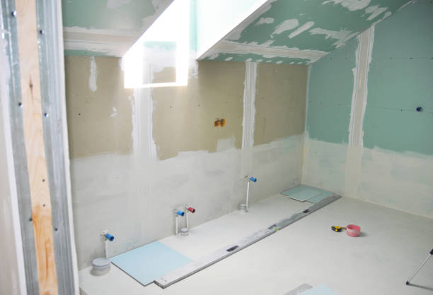 Best Drywall Removal and Disposal  in Shenandoah, VA